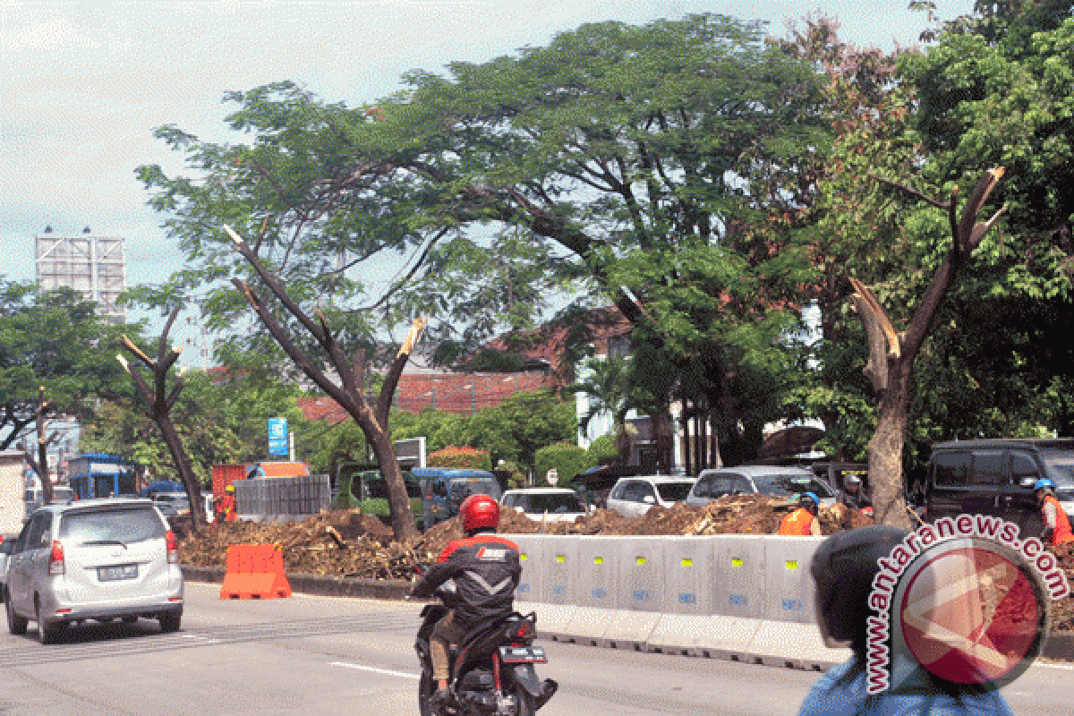 Waduh, 410 Pohon Terkena Proyek Tol BORR IIB