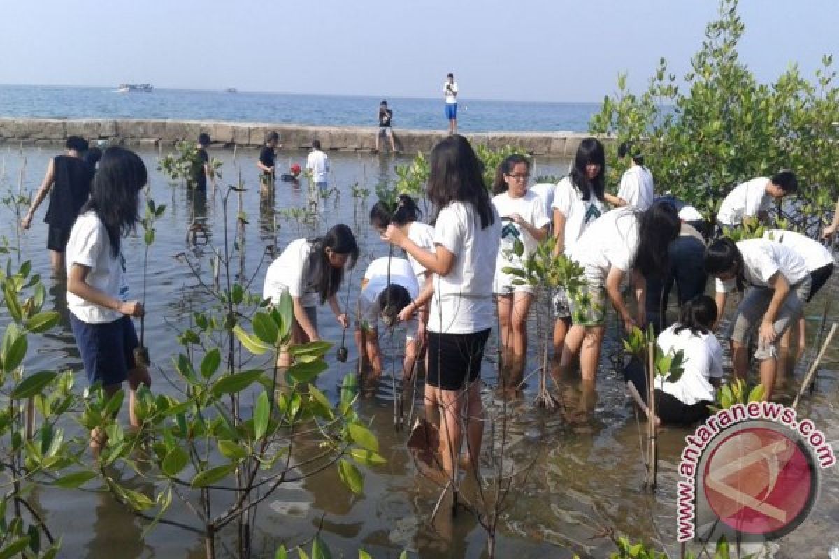 Perusak Mangrove Pesisir Selatan Tidak Bisa Dipidana