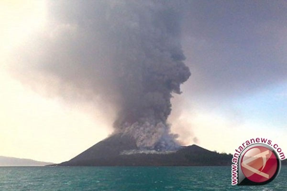 Gunung Anak Krakatau keluarkan 29 kali letusan