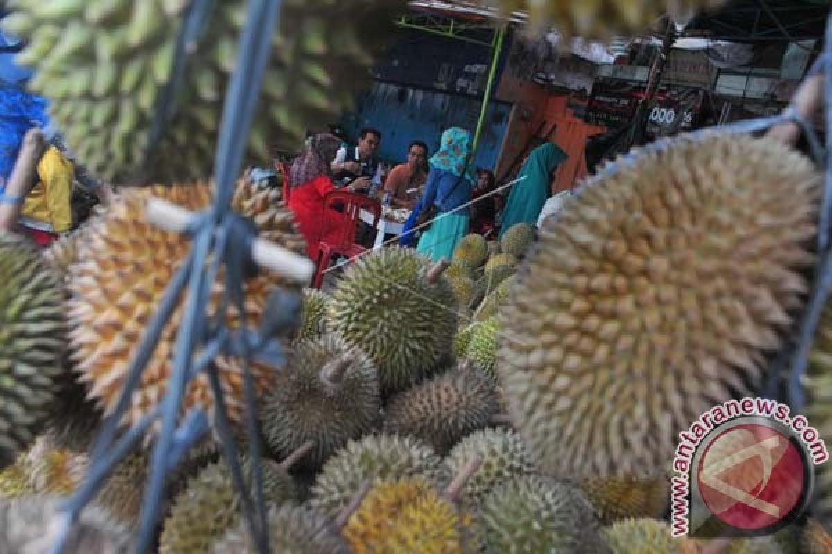 Pedagang Durian Mulai Bermunculan Di Mamuju 
