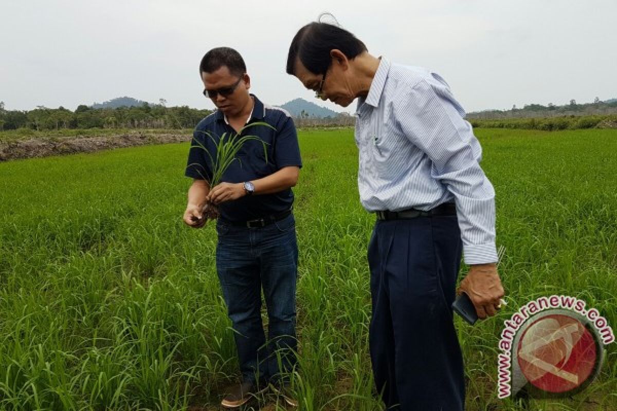 Thailand Jajaki Kerjasama Pertanian Organik di Lingga