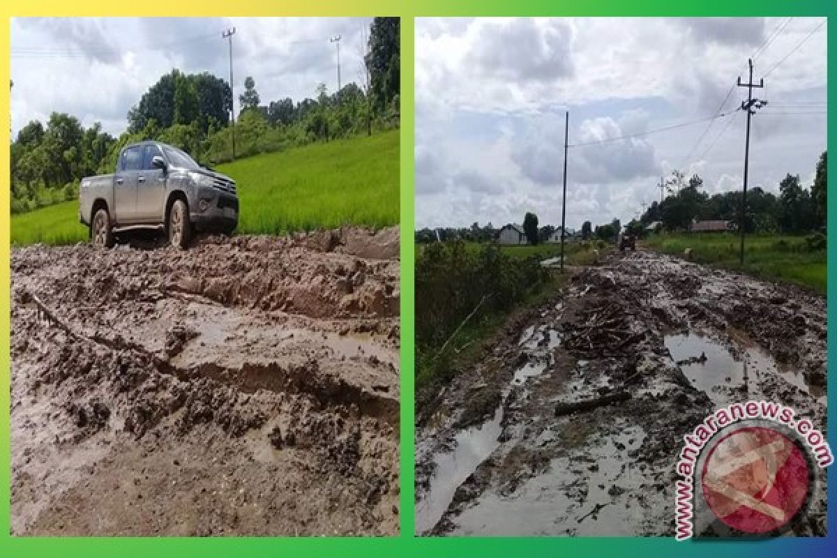 Pemkab Pulpis Alokasikan Rp19 Miliar Untuk Penanganan Infrastruktur Jalan 