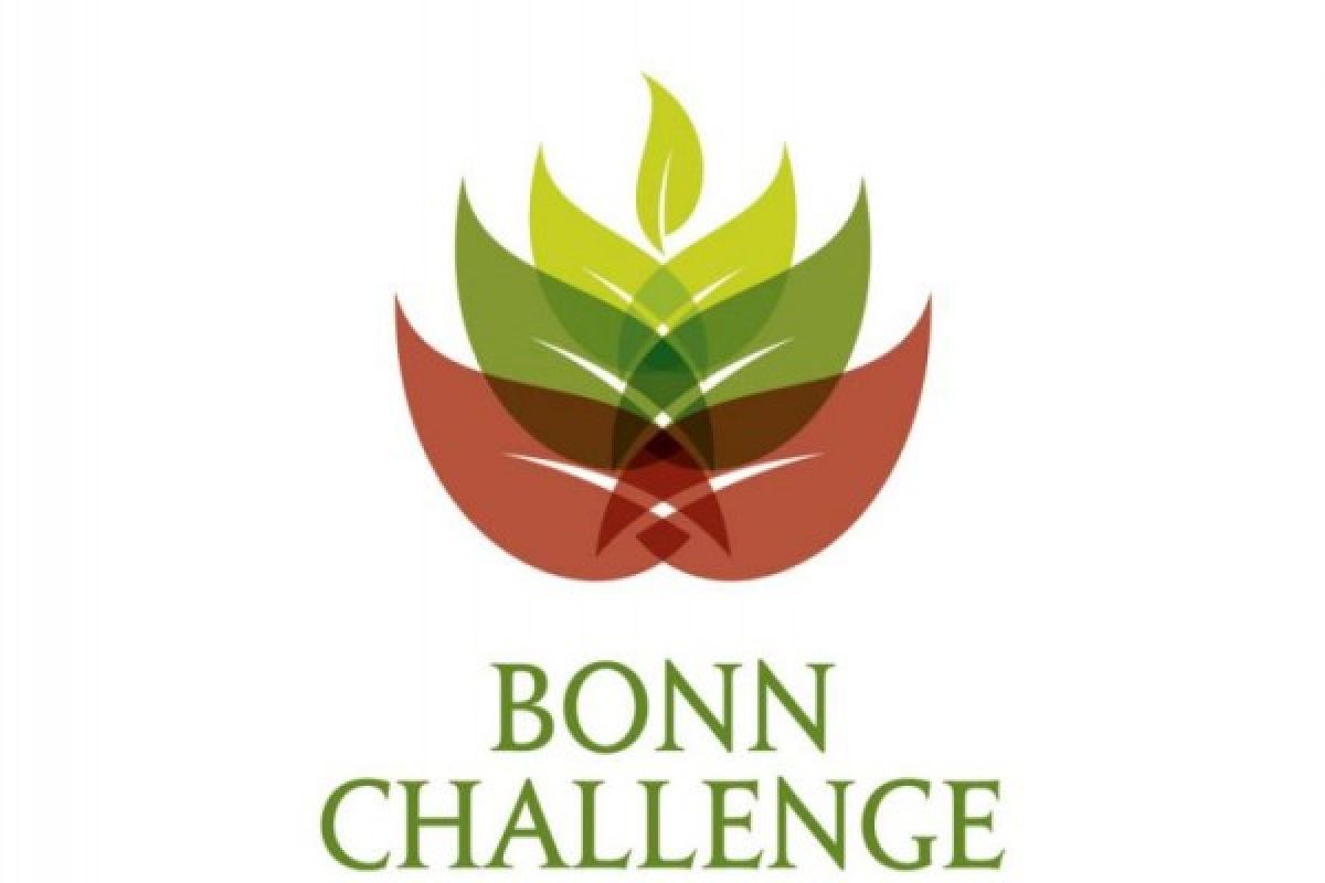 EARTH WIRE -- Bonn Challenge to discuss water channels in plantation areas