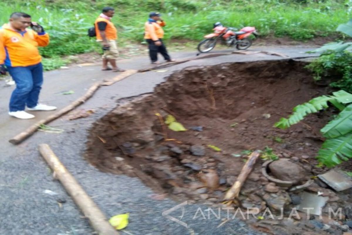 Longsor di Situbondo Sebabkan Jalan Desa Ambles (Video)