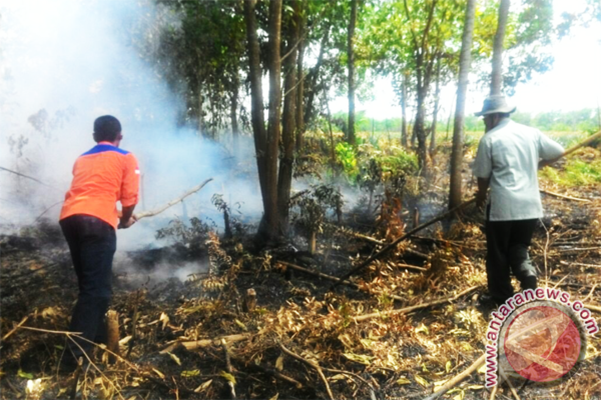 BPBD Terus Berupaya Padamkan Lahan Gambut Terbakar