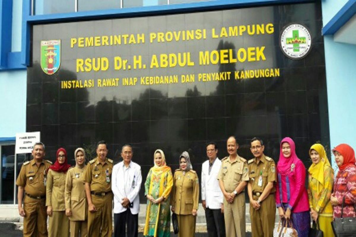 Kadinkes: Fasilitas "Ponek" RSUDAM Terlengkap di Lampung  