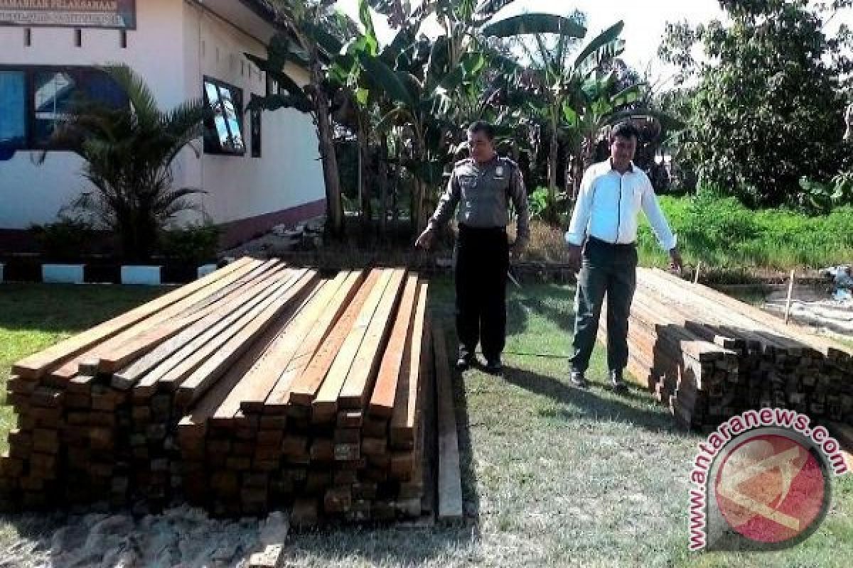 Polisi Barito Selatan Amankan 2 Pelaku Ilegal Loging