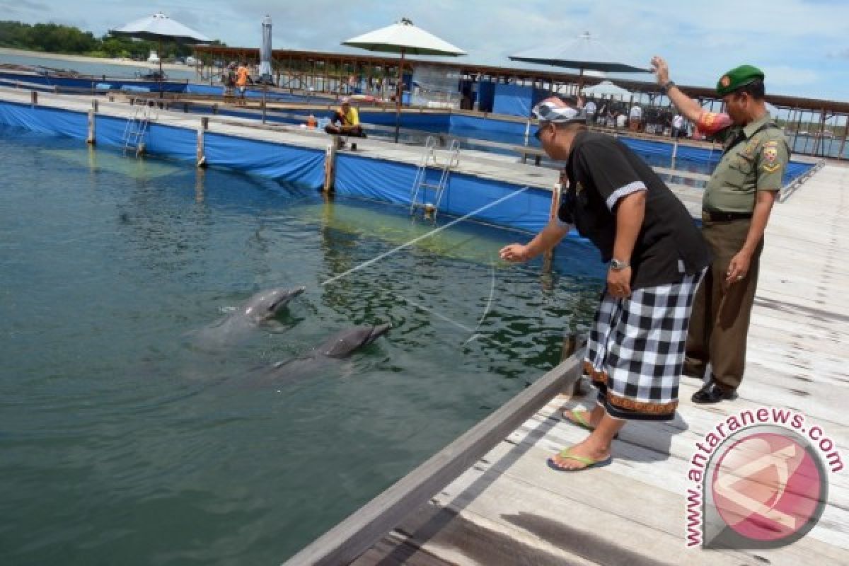 Warga Desa Serangan Tutup Aktivitas Wisata Dolphin