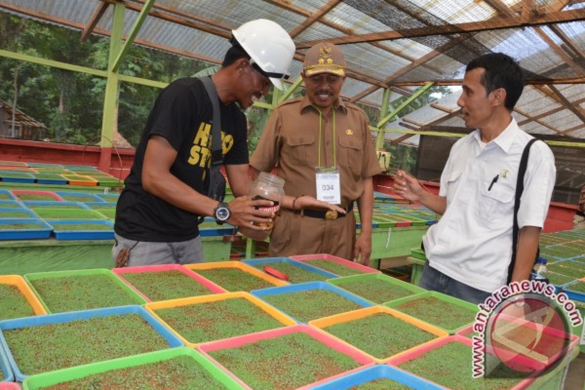  Gorontalo Utara Segera Miliki Pabrik Kayu Lapis 