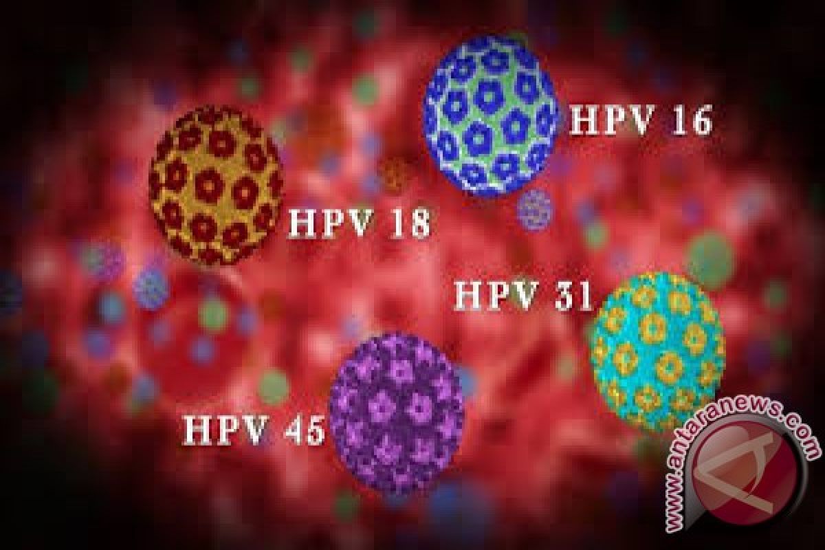 Dua warga Banyuasin diduga terinfeksi virus HPV