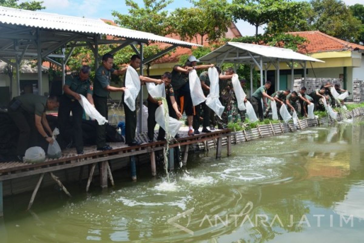 Danrem 084/BJ Tabur 5.000 Benih Ikan Bandeng