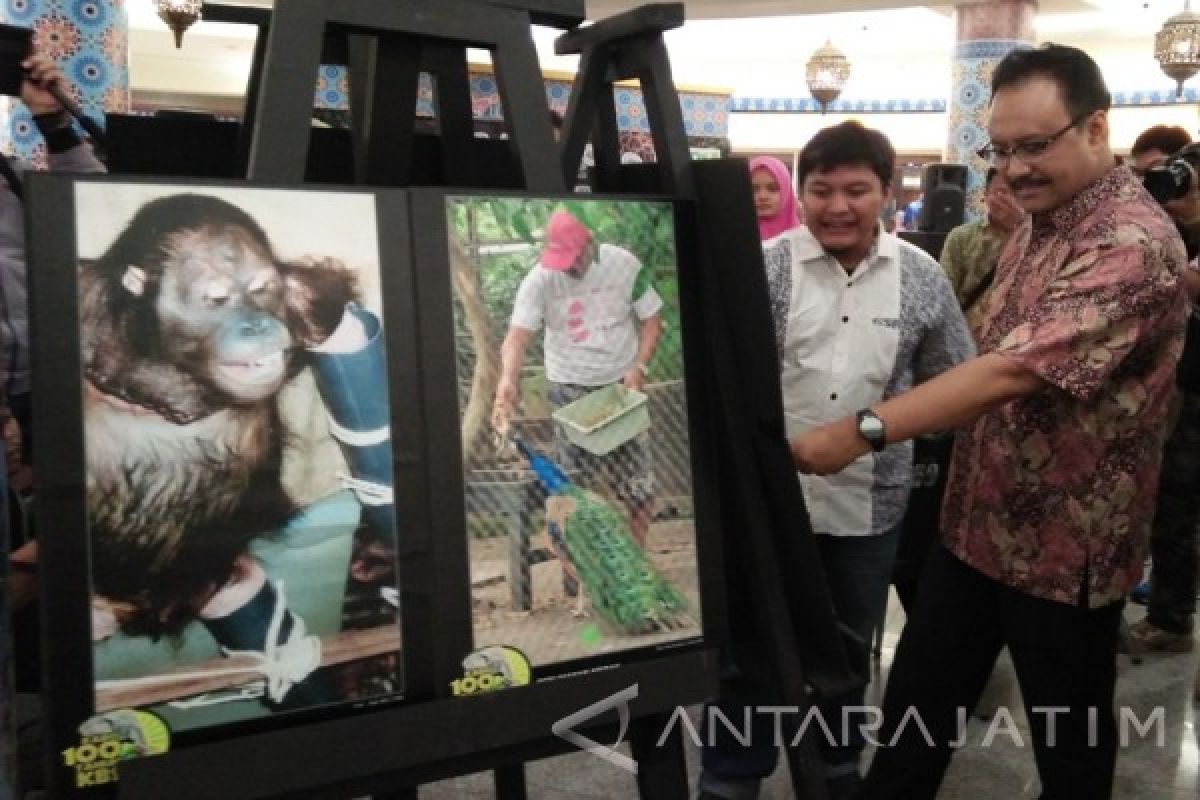 Gus Ipul Minta Satwa Dilindungi Diserahkan ke BKSDA (Video)