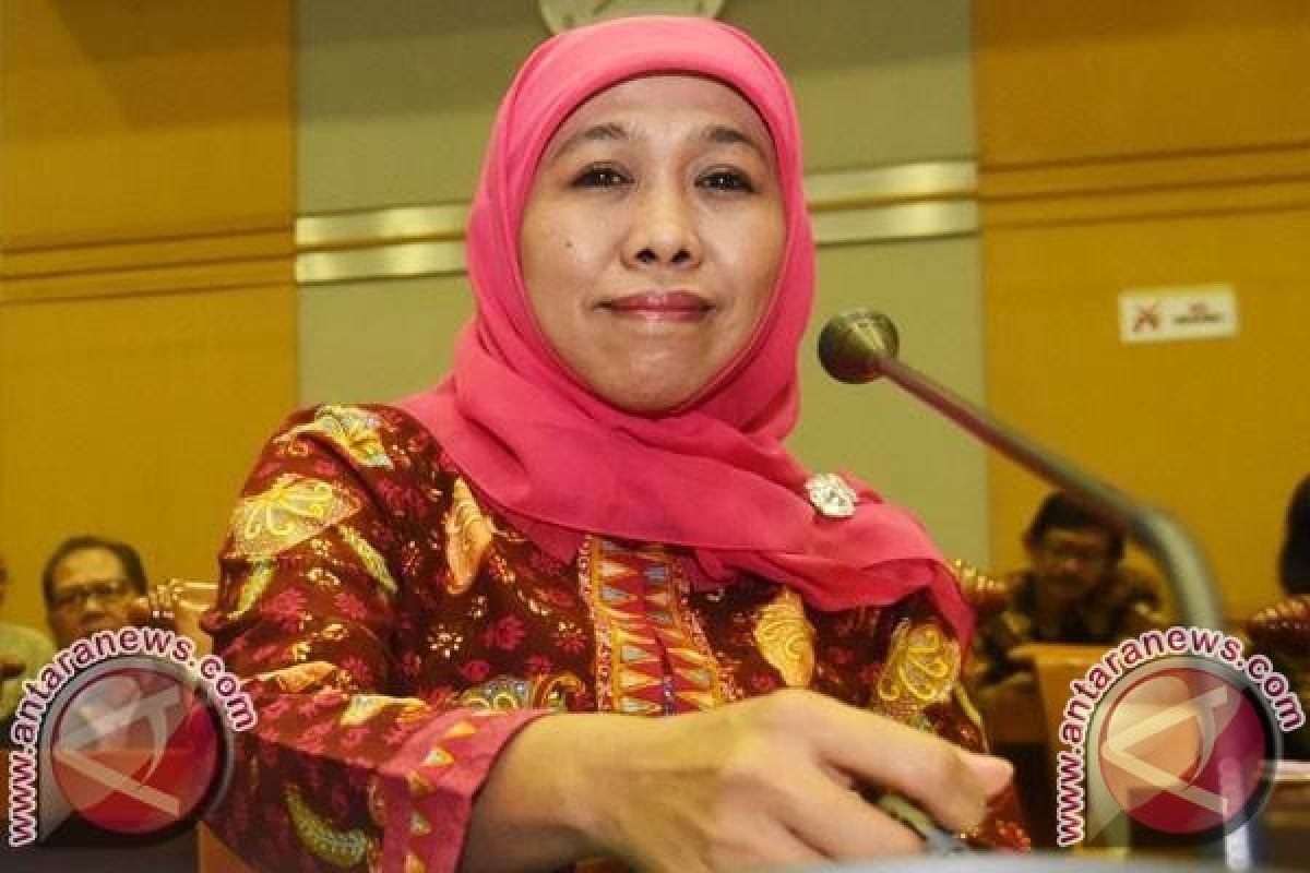 Mensos: pemerkosa bocah di Sorong layak dikebiri