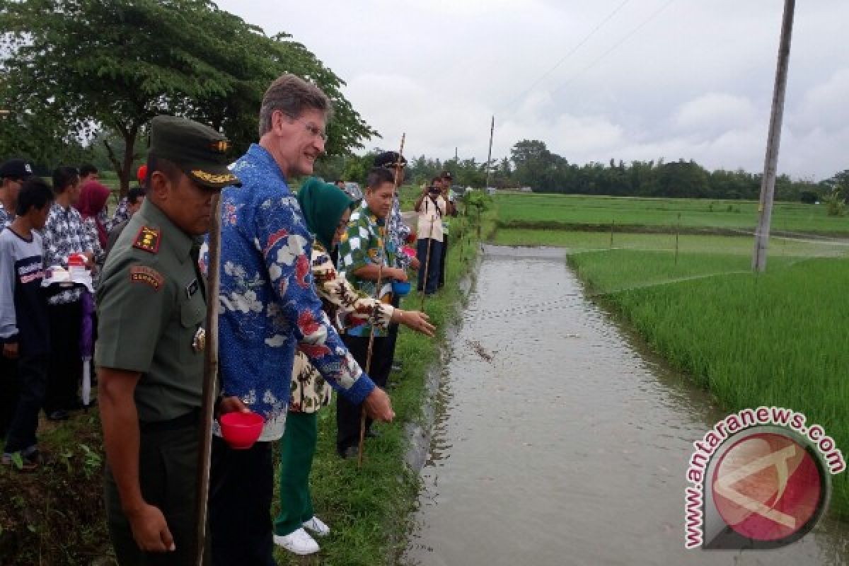 FAO : minapadi Sleman inovasi sukses pertanian tradisional