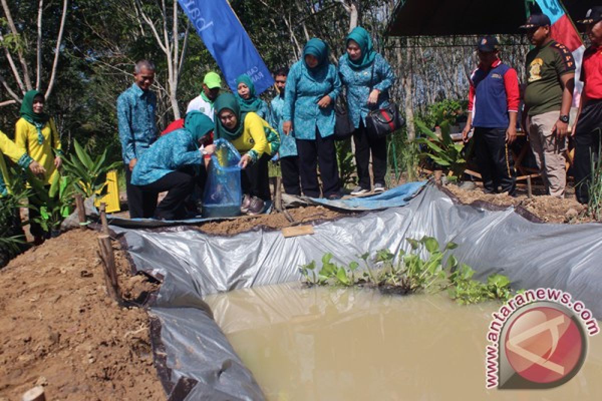 PKK Kalsel Dukung Ketahanan Pangan