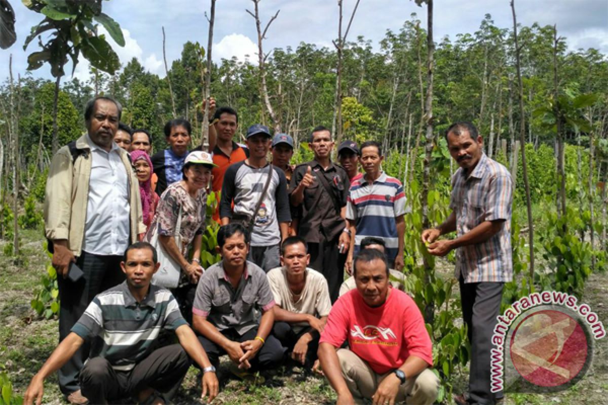 GIZ Dampingi Peningkatan Kapasitas Petani Lada Sambas