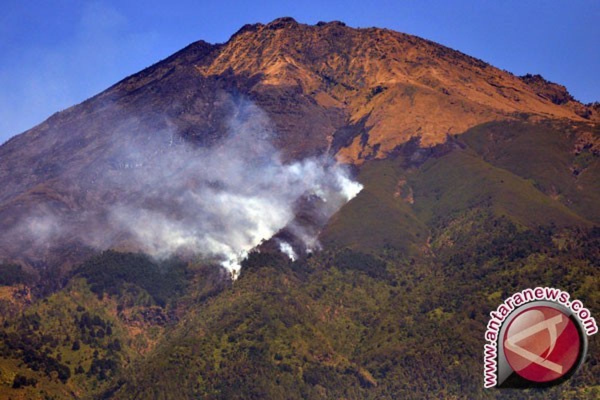 Seorang pendaki Gunung Sumbing tewas akibat terjatuh kejurang