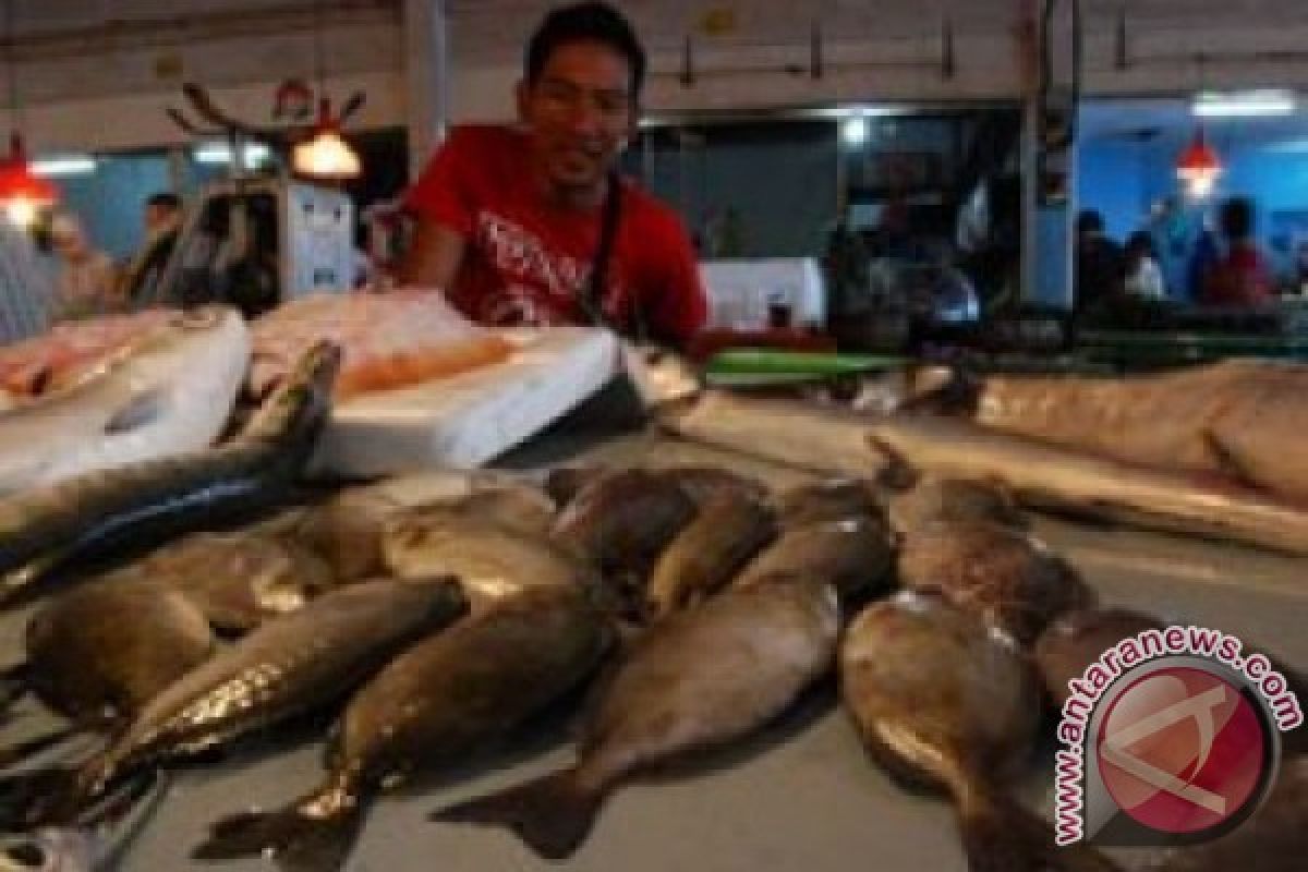 Disperindag: Kenaikan Harga Ikan Dingkis Hanya Musiman