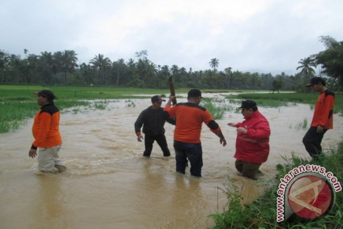Wakil Walikota Pantau Banjir Goti