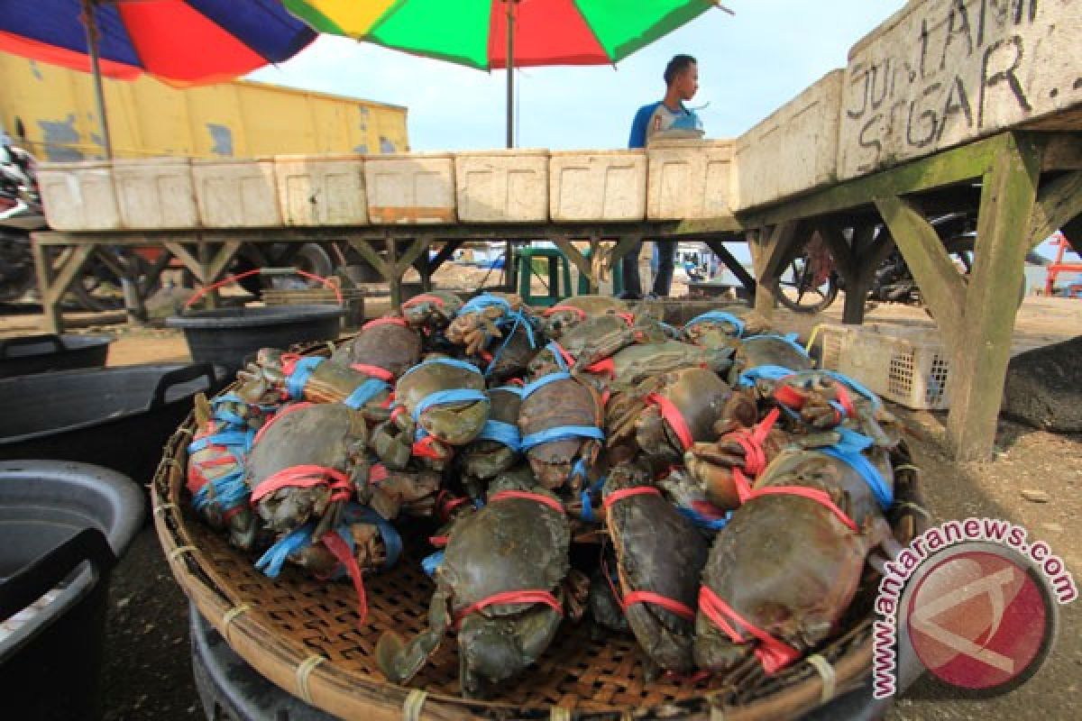 Dosen UGM olah cangkang kepiting jadi antihama ramah lingkungan