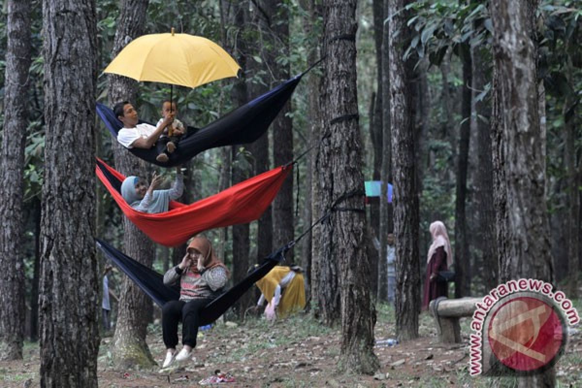 Sektor pariwisata serap banyak tenaga kerja