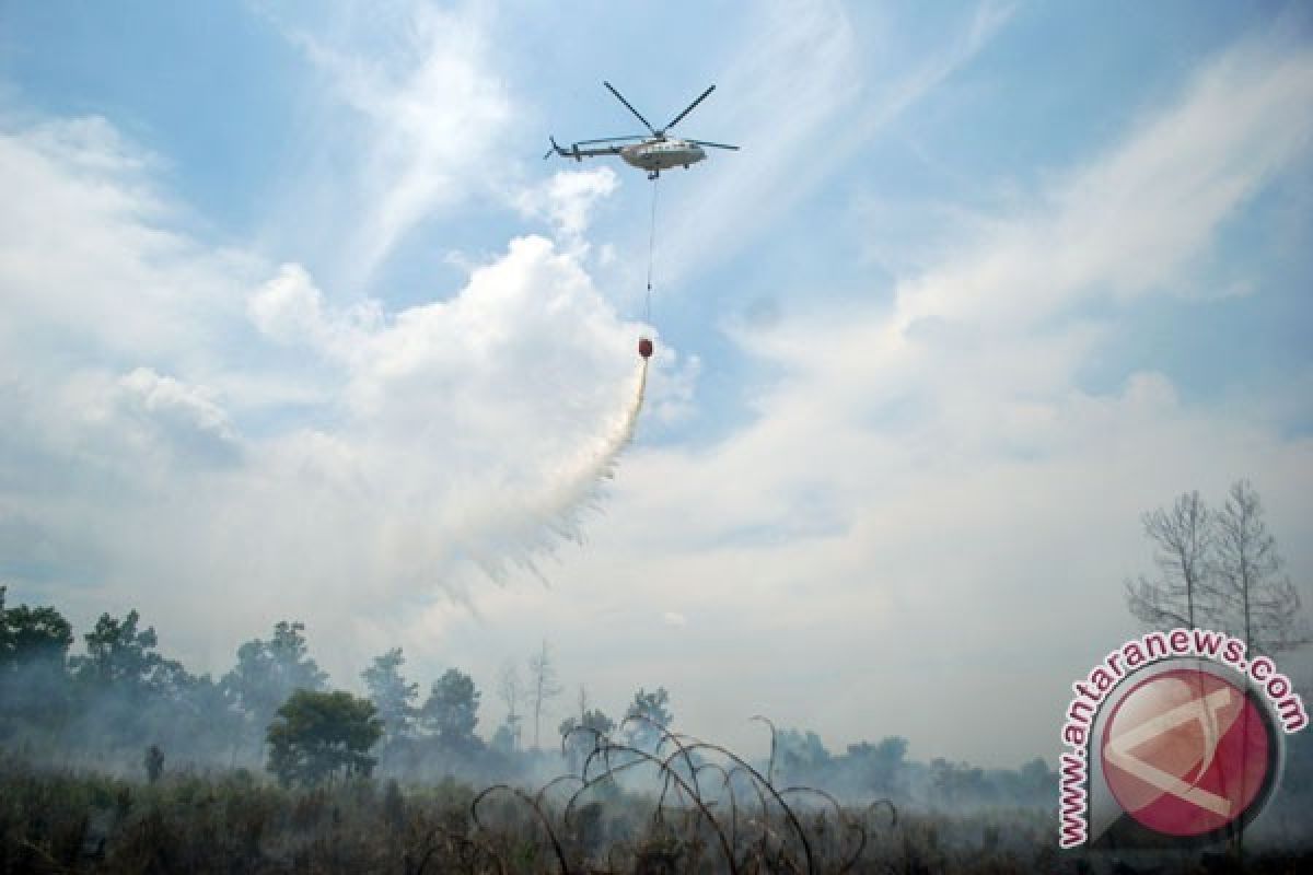 BPBD Riau Ajukan Helikopter Pengebom Air dan TMC