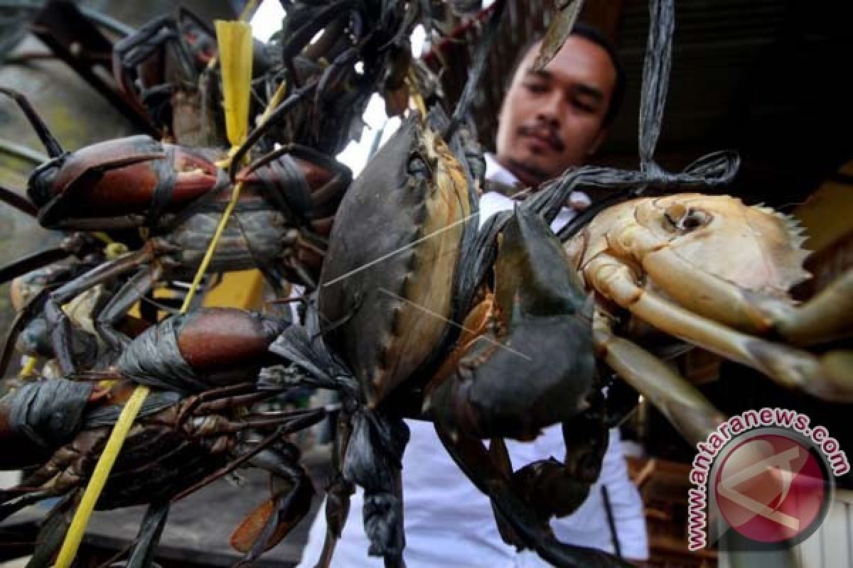 Balai Karantina Makassar Lepas Ratusan Kepiting Bertelur 