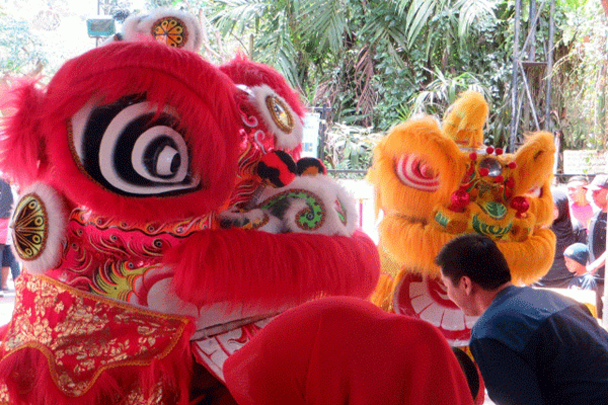 TSI Suguhkan Barongsai-Liong Sambut Imlek 2017