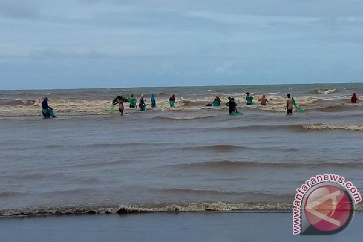 Nelayan Bengkulu Beralih Jadi Pemulung Batu Bara