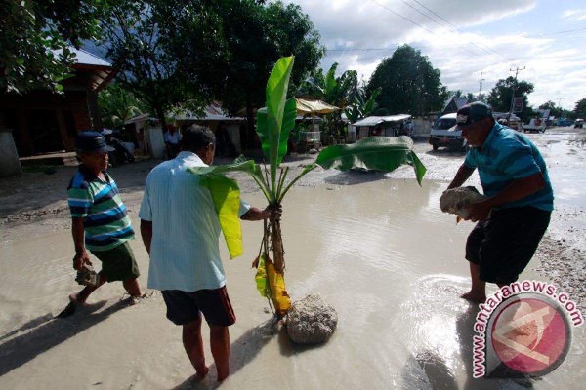 Warga Tanam Pisang Di Jalan Rusak