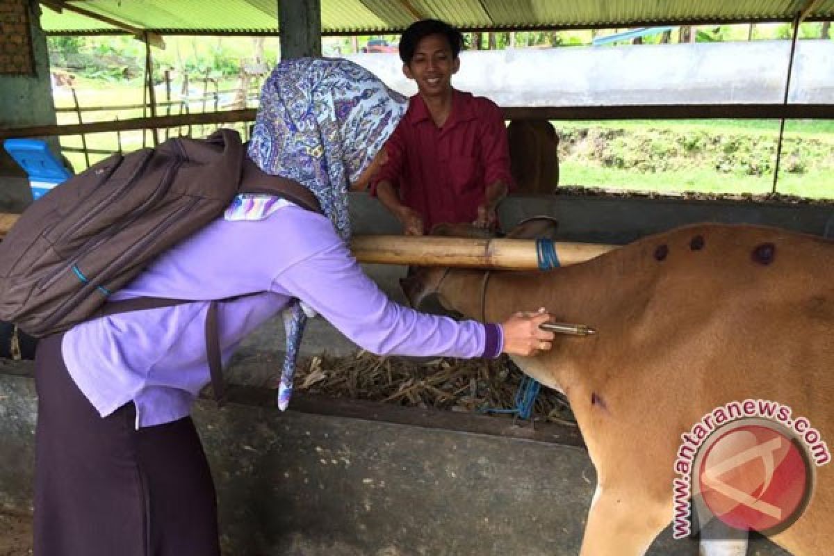 Puskeswan Curup Antisipasi Penyebaran Antraks