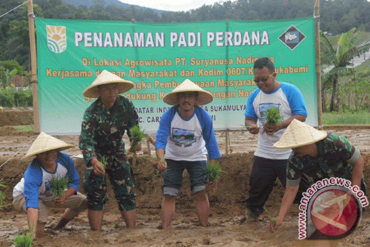 Perusahaan Swasta Gandeng TNI Wujudkan Swasembada Pangan