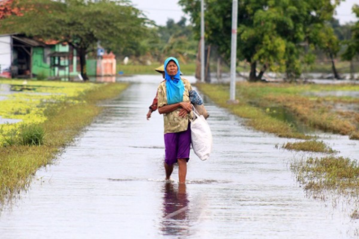 173 Hektare Lahan Pertanian Sidoarjo Terkena Banjir