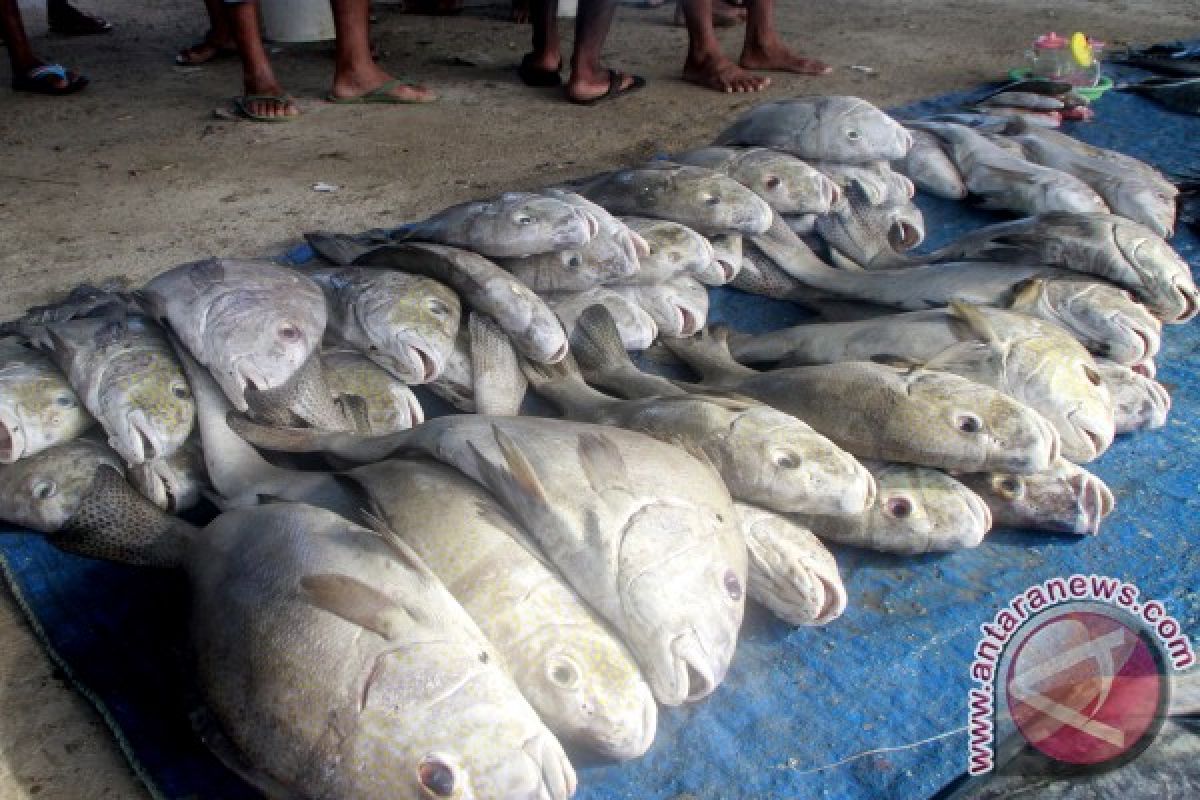 Harga Ikan Segar Meroket