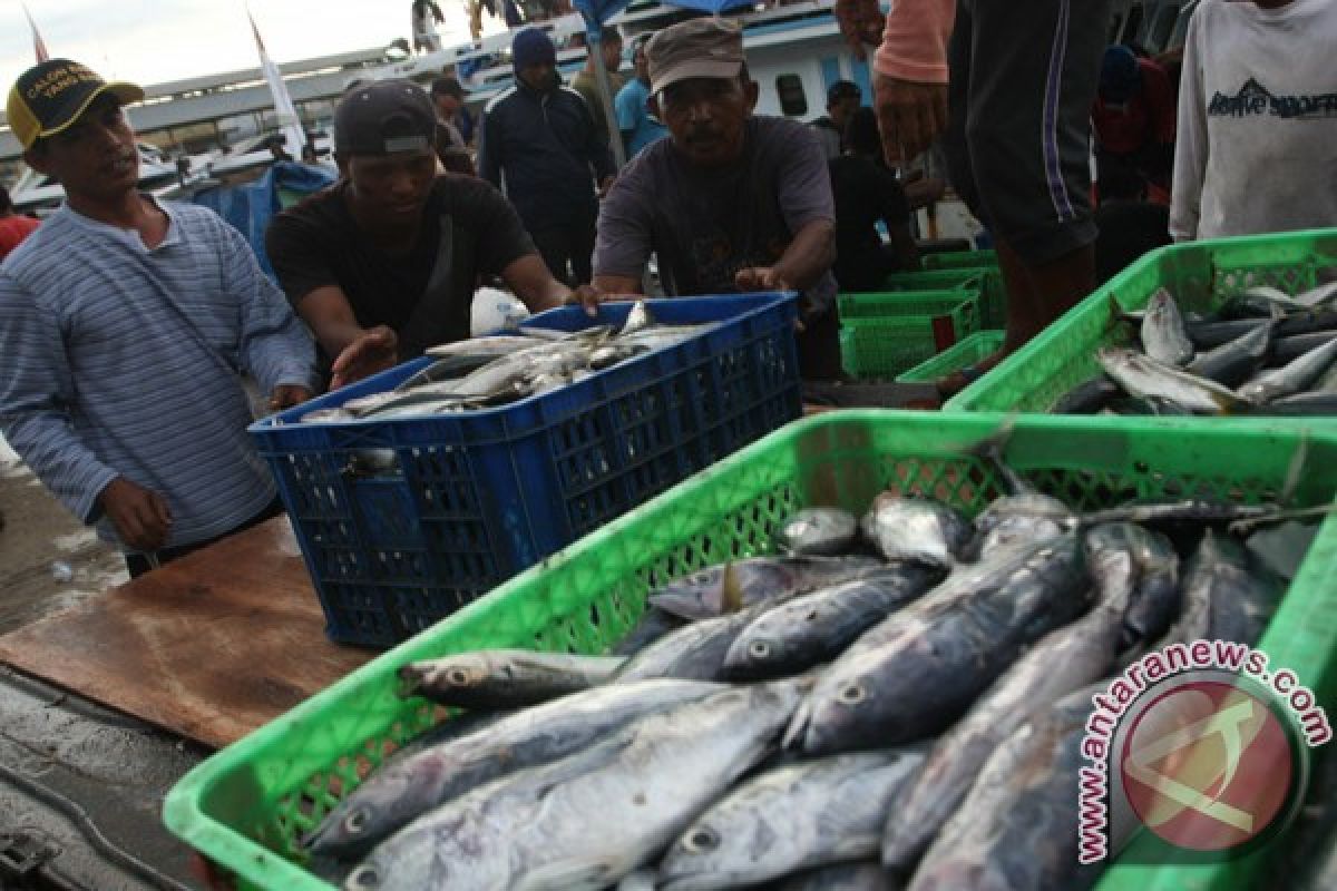 Konawe Selatan buka peluang investasi sektor perikanan