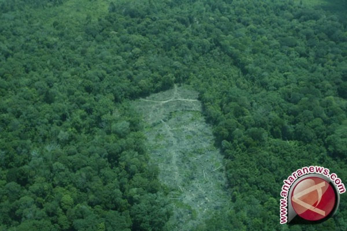 Pengembangan kawasan lembah harau terkendala izin BKSDA