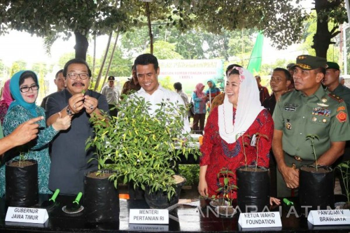 Menteri Pertanian Luncurkan Cabai Varietas JTPK 1