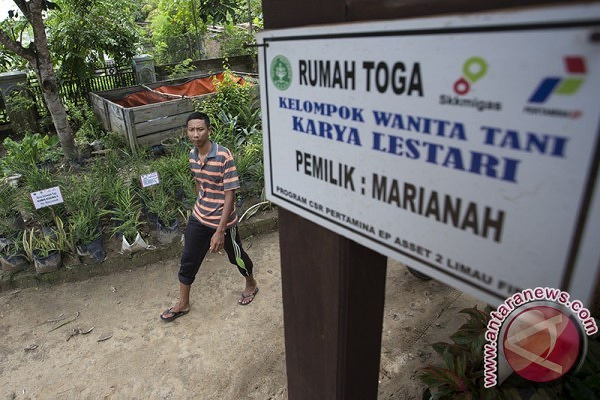 Bupati Purbalingga: Jadikan Halaman untuk Kebun dan Tanaman Obat