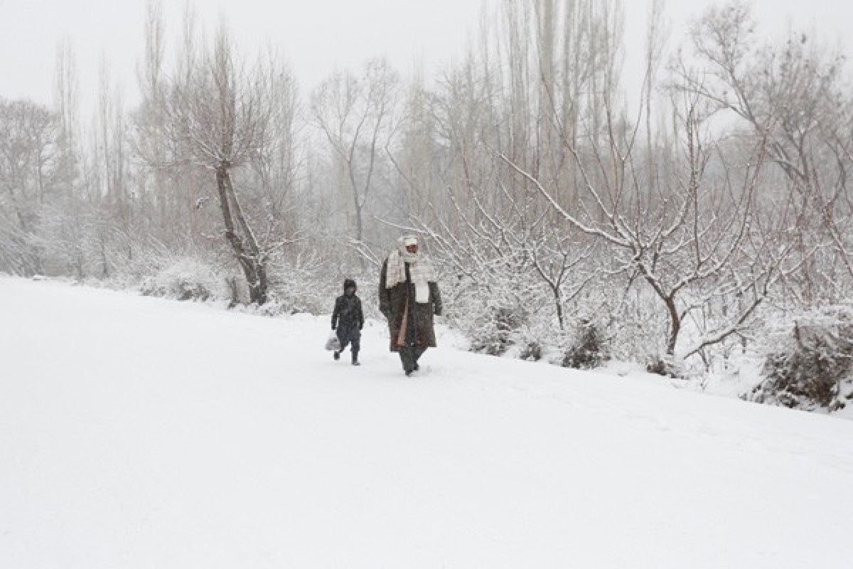 Salju tebal dan suhu dingin tewaskan 17 anak di Afghanistan 