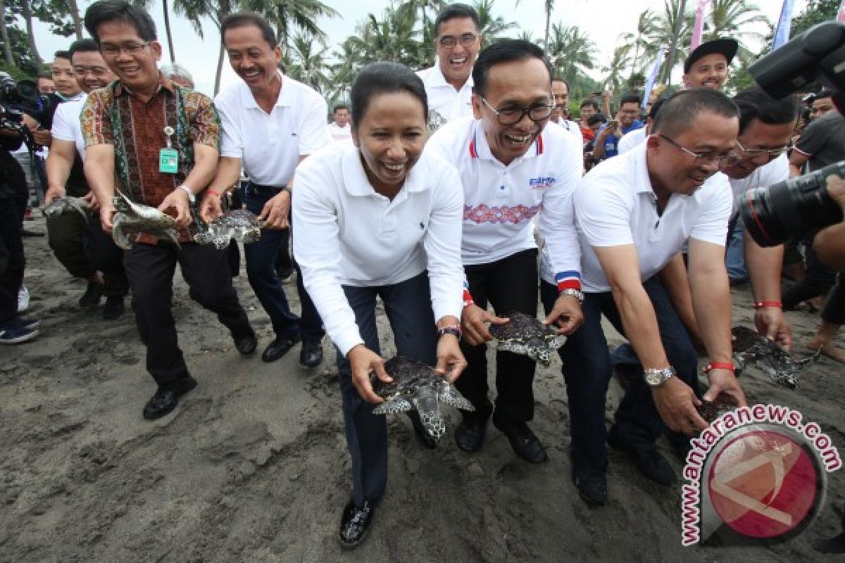 Garuda lepas 100 penyu di Pantai Senggigi