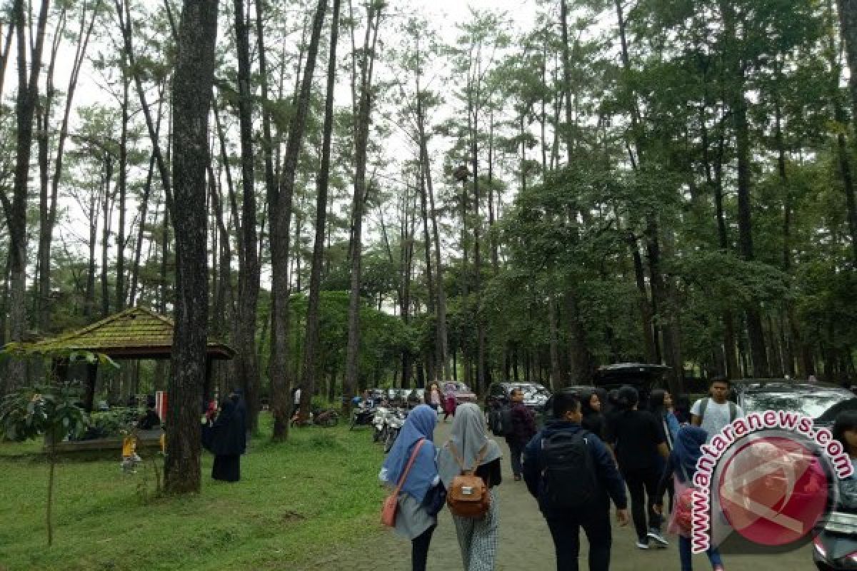 Taman Punti Kayu ramai pengunjung saat Imlek