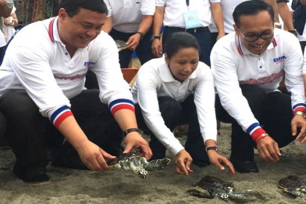 Menteri BUMN melepasliarkan penyu di Pantai Senggigi