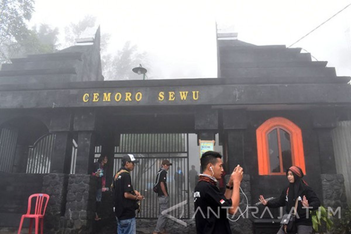 Pohon Tumbang Rusak Warung di Telaga Sarangan