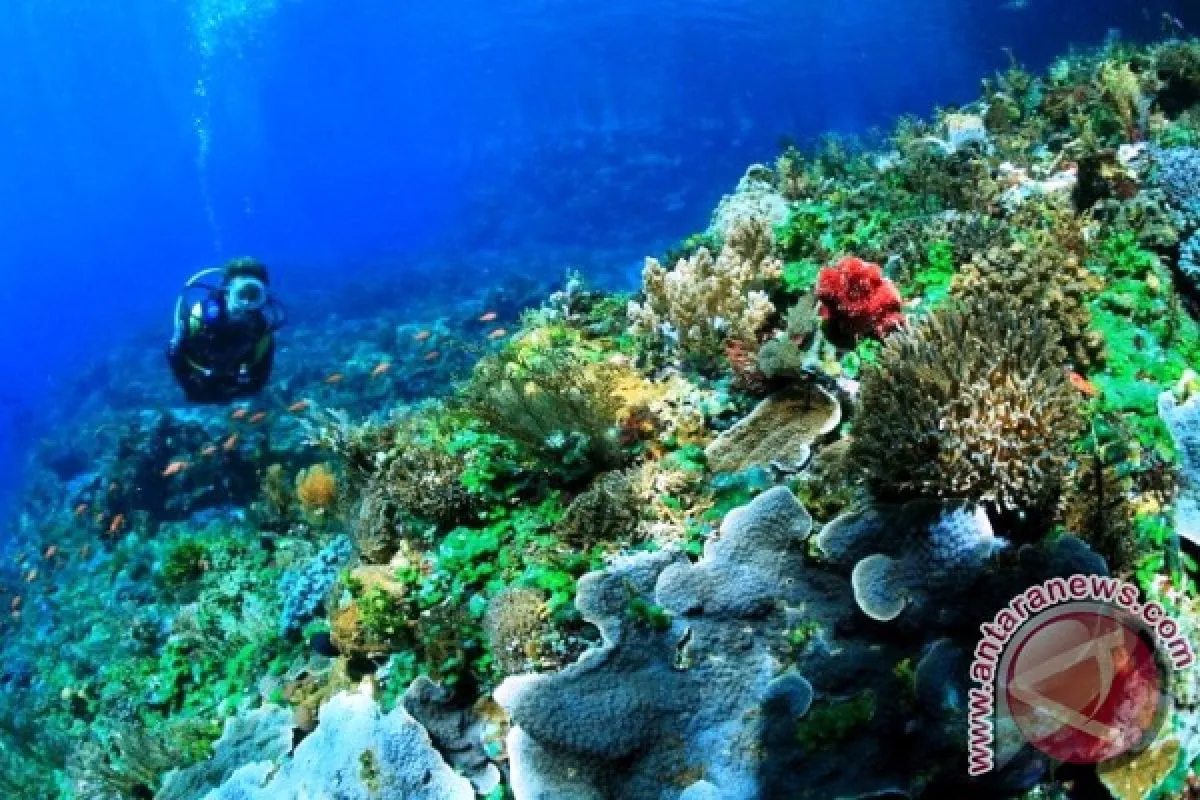 Alor Kekuatan Baru Pariwisata di NTT