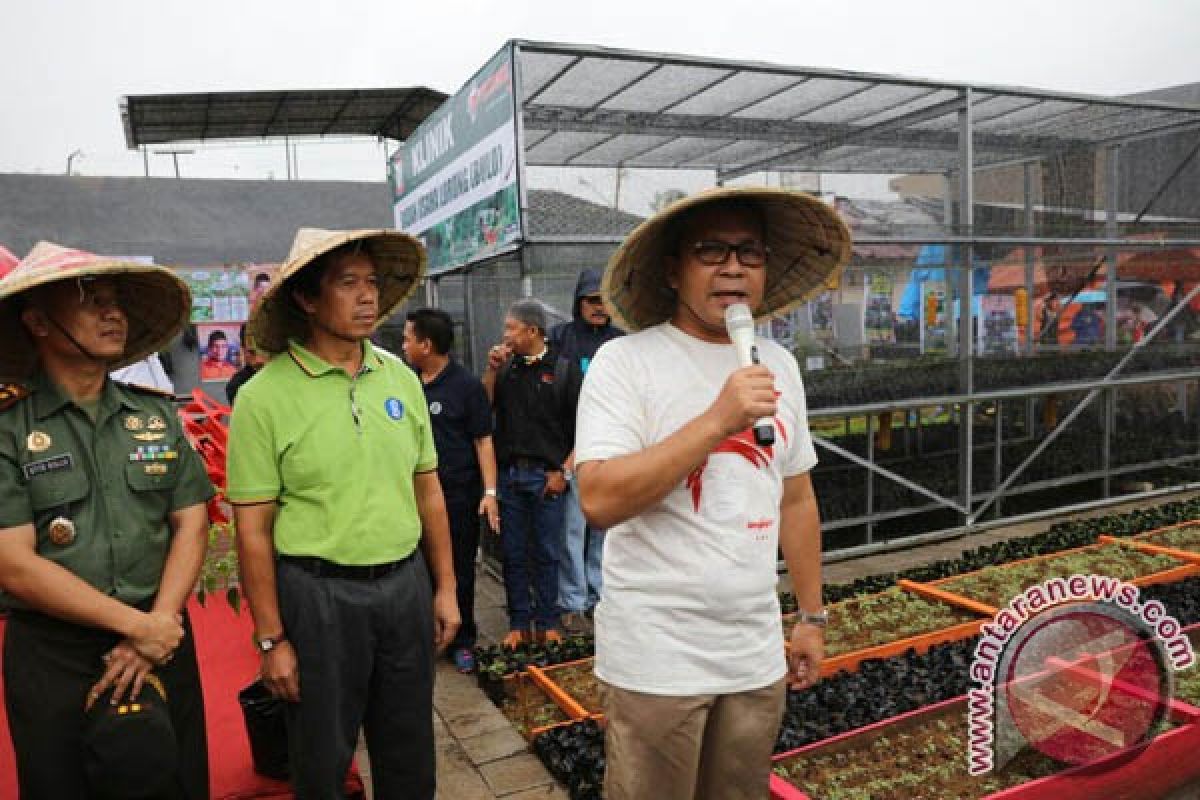 Balitbangda Makassar Diminta Teliti Cabai BULo