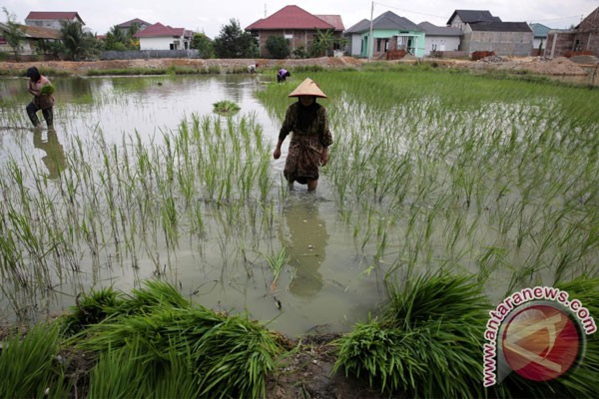 Bener Meriah, Aceh buka  kawasan transmigrasi