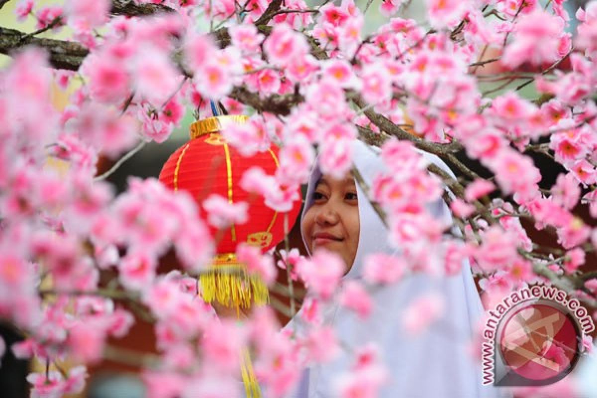 Lampion Naga Terpanjang Singkawang Dapat Penghargaan Dari Muri 