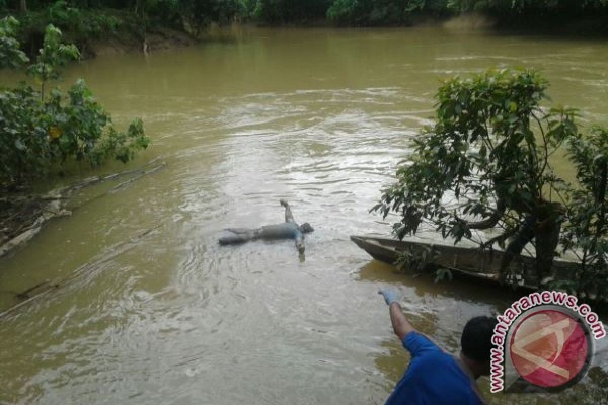 Pencuri Sarang Walet Tertangkap di Bartim, Satu Ditemukan Tewas