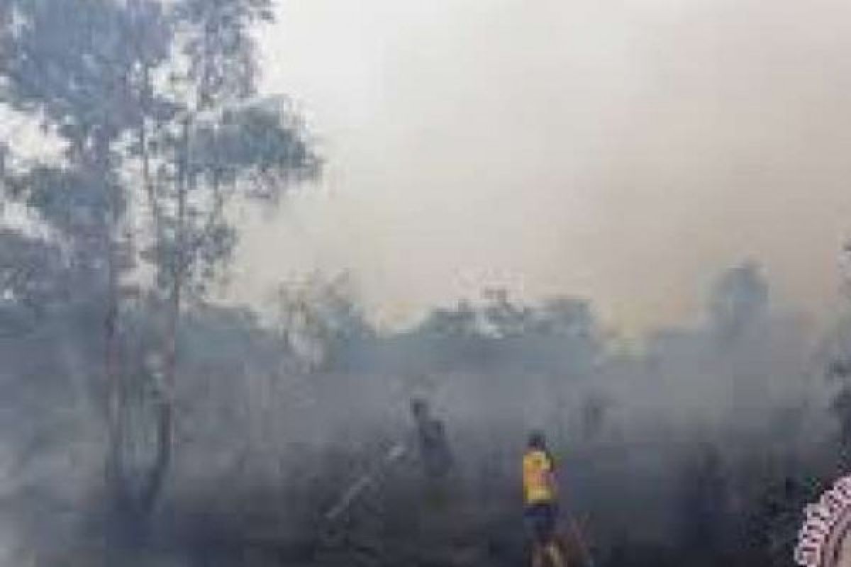 20 Hektare Lahan Gambut Inhil juga Terbakar, Milik PT Sambu