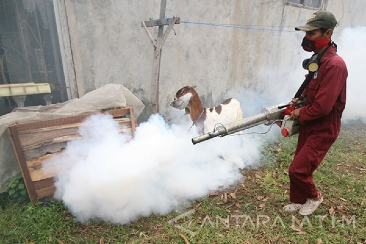 Dinkes Kediri: Tren Penyakit Demam Berdarah 2017 Turun      